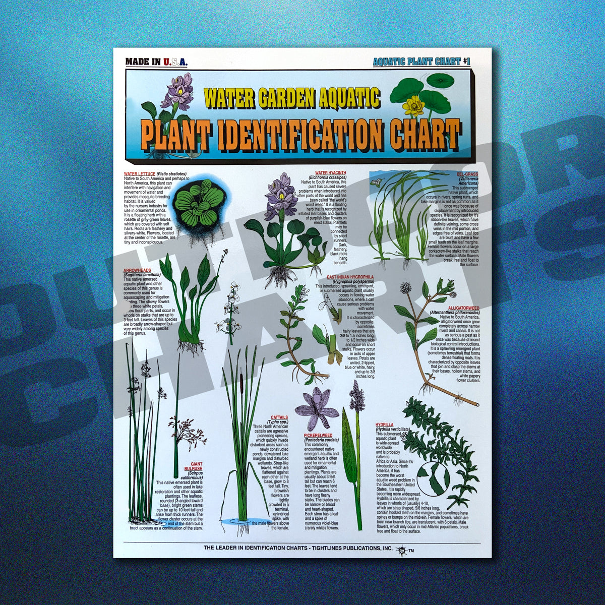Freshwater Aquatic Plant Identification Chart 12 (Florida APMS Inc