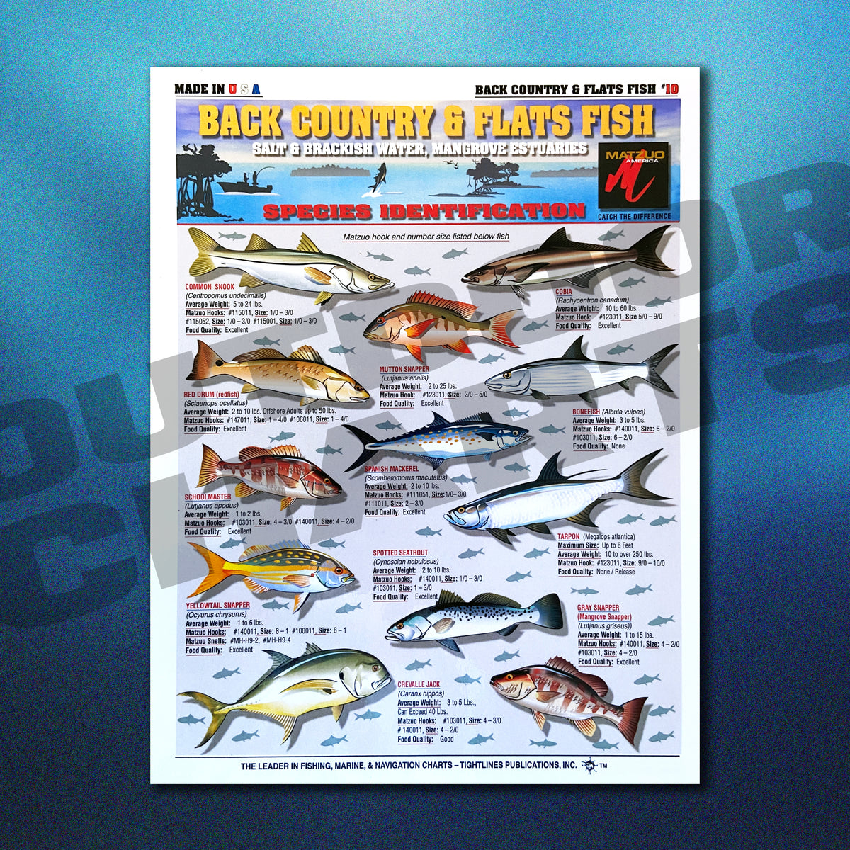 Backcountry & Flats Fish Identification Chart #10 (Salt & Brackish Wat