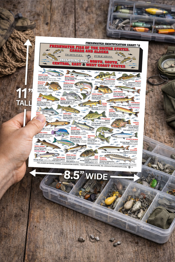 Alaska Fish Chart Freshwater Fish Identification Chart #8 (US, Canada, and Alaska) - Wat ...