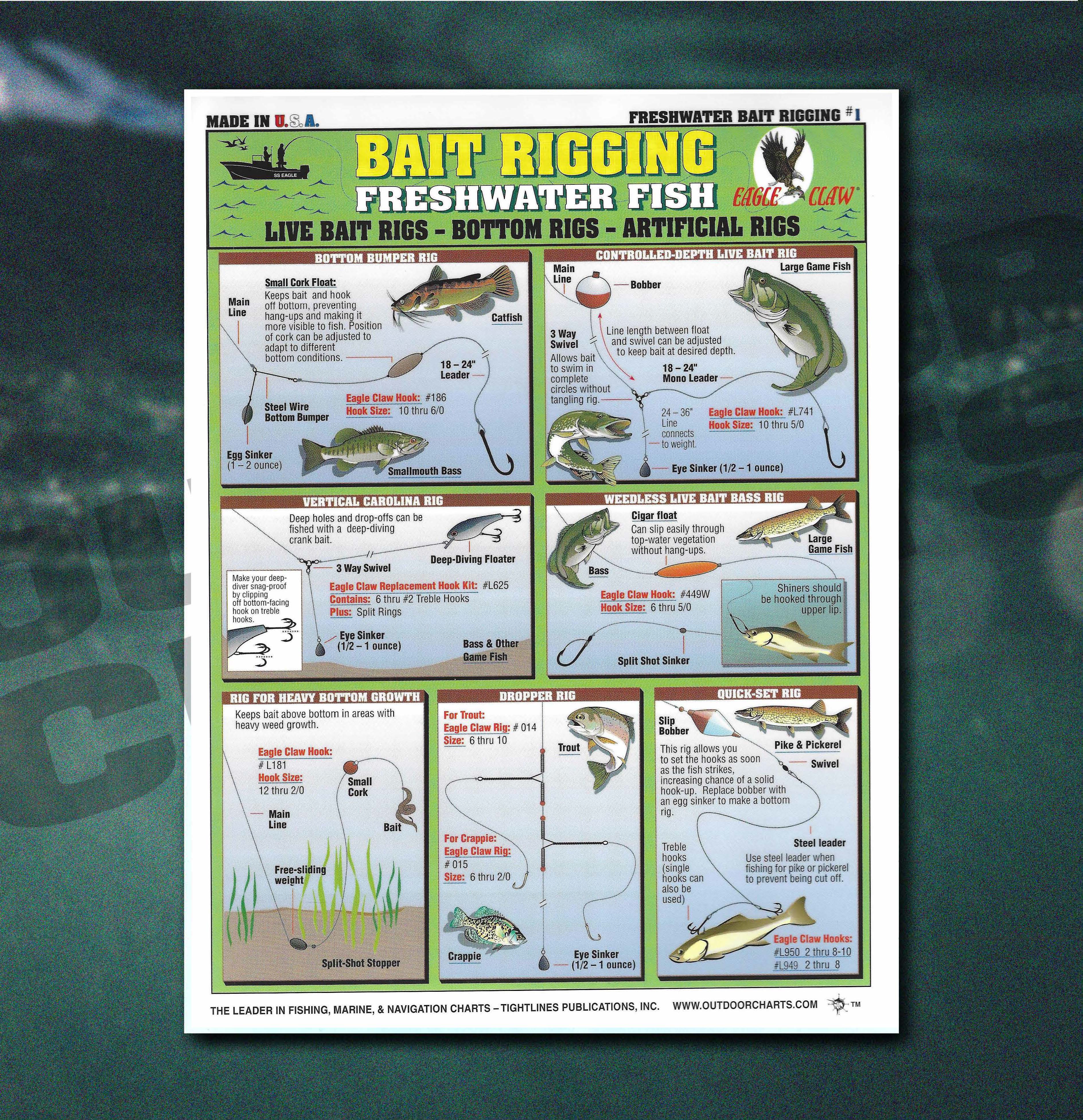 Bass Fishing Line Setup For Freshwater Fishermen's Freshwater Bait