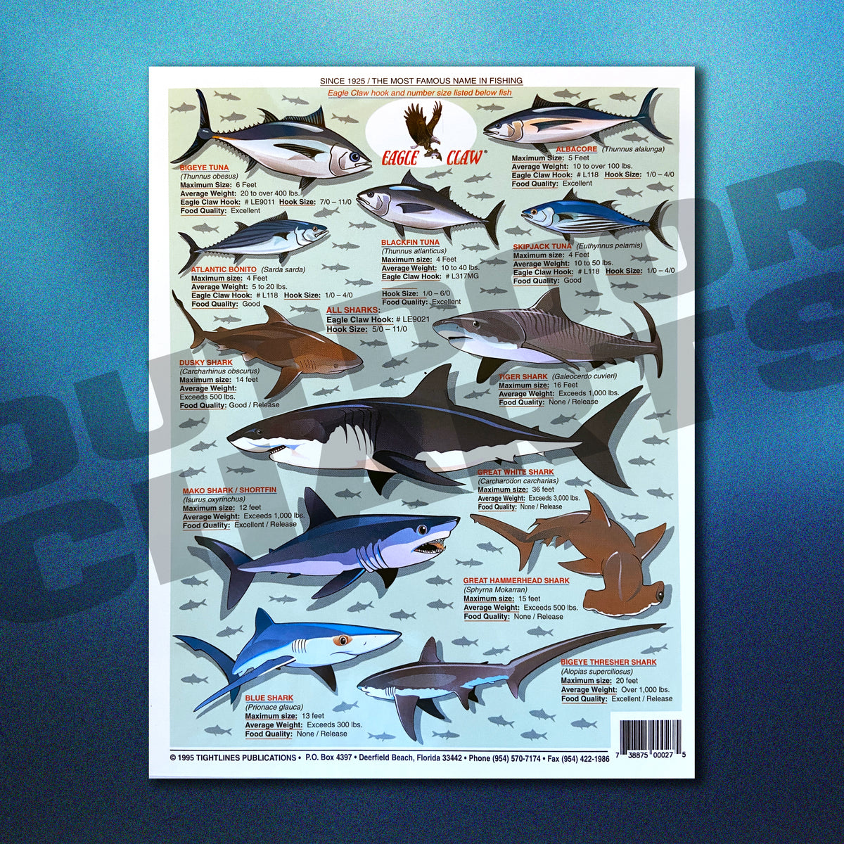 Atlantic Ocean Big Game Fish Identification #1 - Waterproof Quick Refe ...