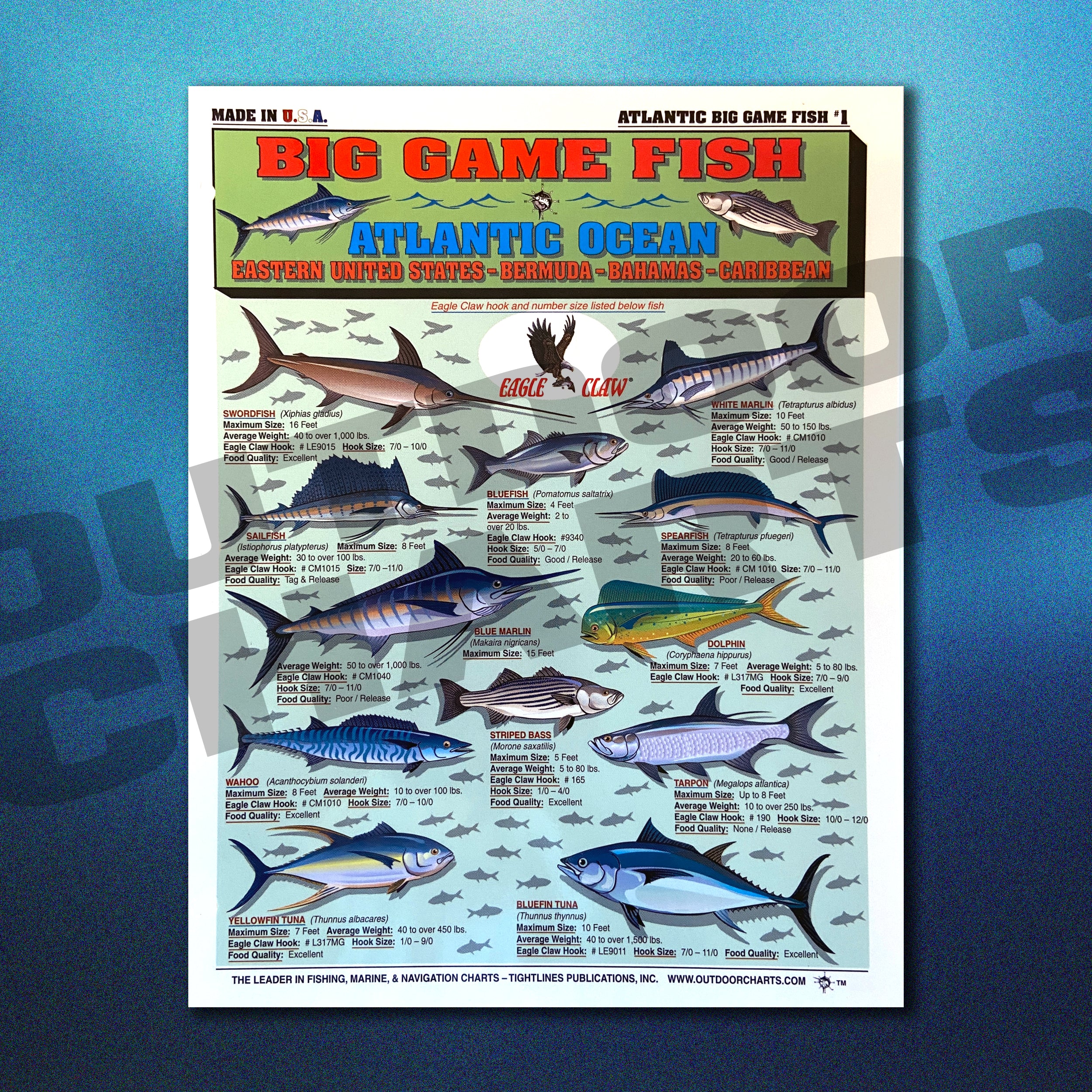 Atlantic Ocean Big Game Fish Chart #1 (Eastern United States, Bermuda,  Bahamas, Caribbean)