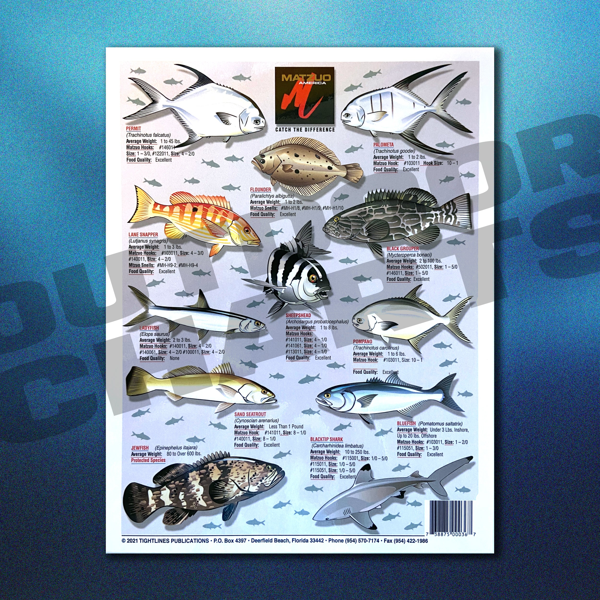 Fish Chart Pattern Backcountry & Flats Fish Identification Chart #10 (Salt & Brackish Wat ...