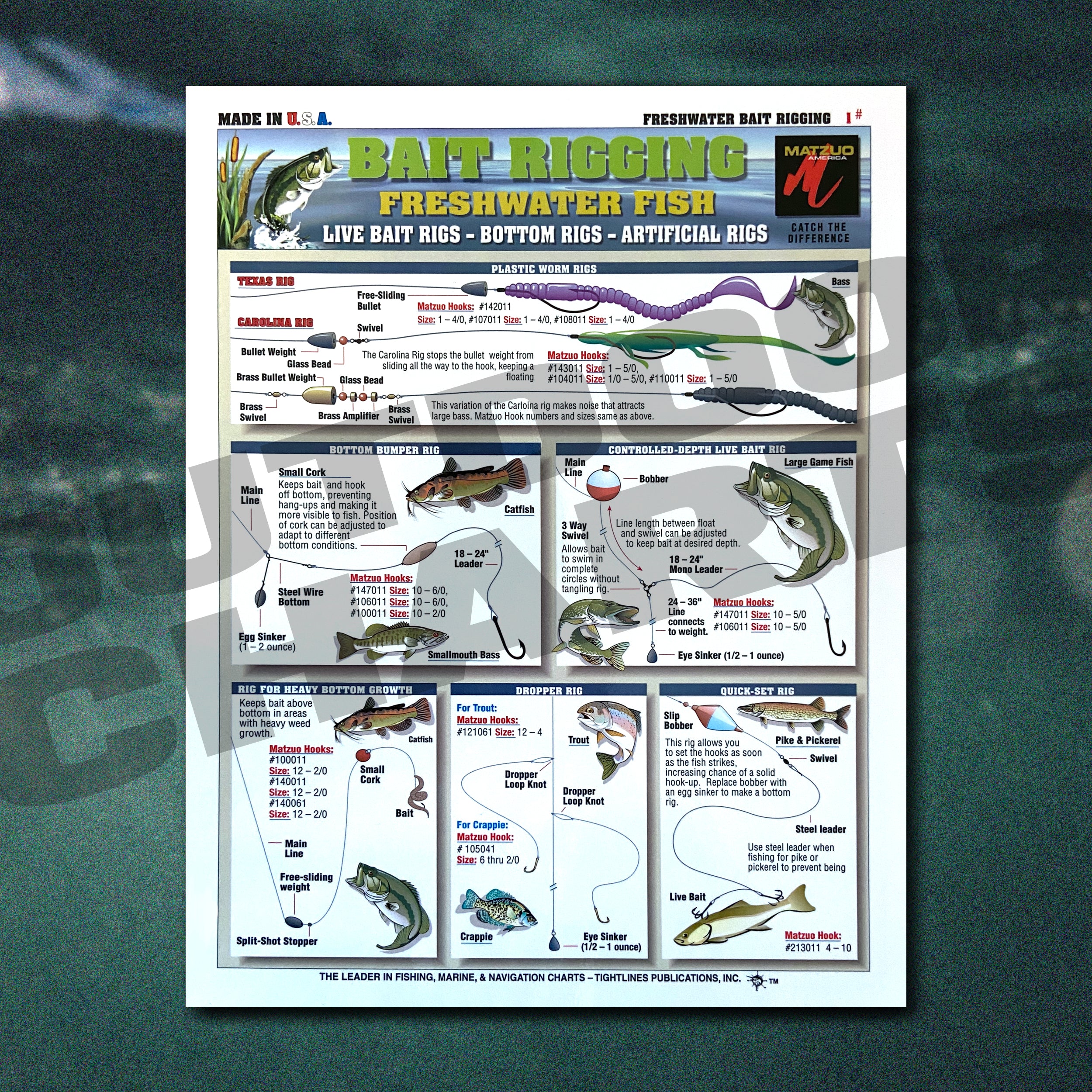 Bait Rigging Freshwater Fish Chart #1 (Live Bait Rigs, Bottom Rigs
