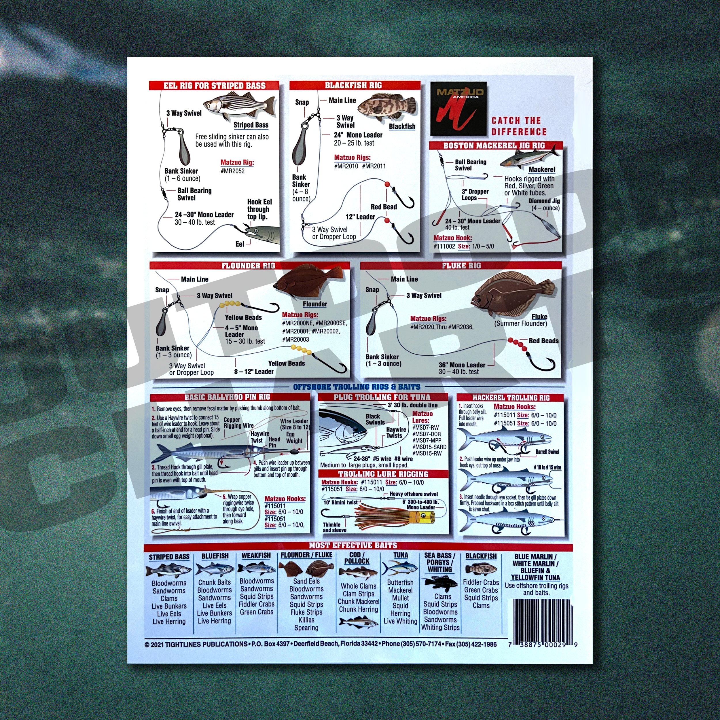 Fish Rigging Chart Fishermen's Northeast Bait Rigging #2 (Maine to The Carolinas) - Water ...