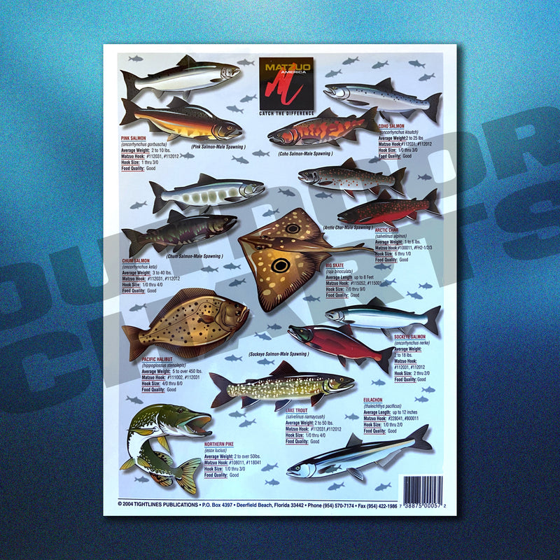 Fish of Alaska Species Identification 16 (Freshwater & Saltwater) W