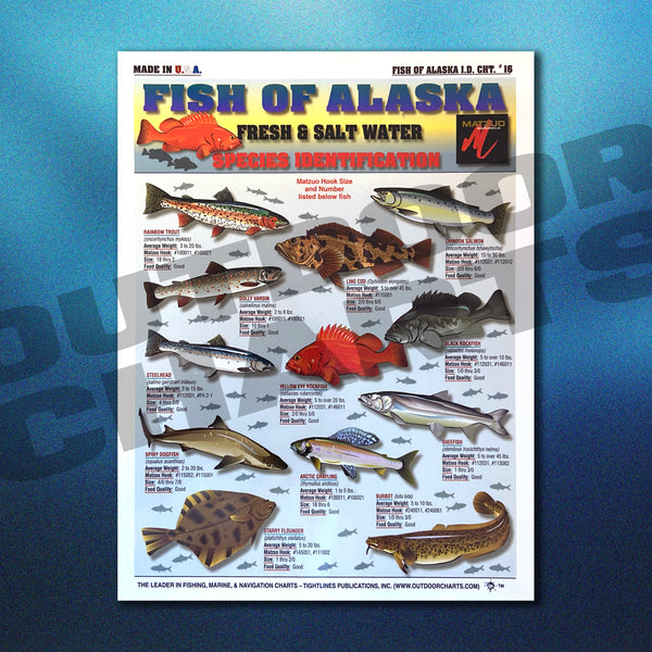 Fish of Alaska Species Identification Chart #16 (Freshwater & Saltwater)