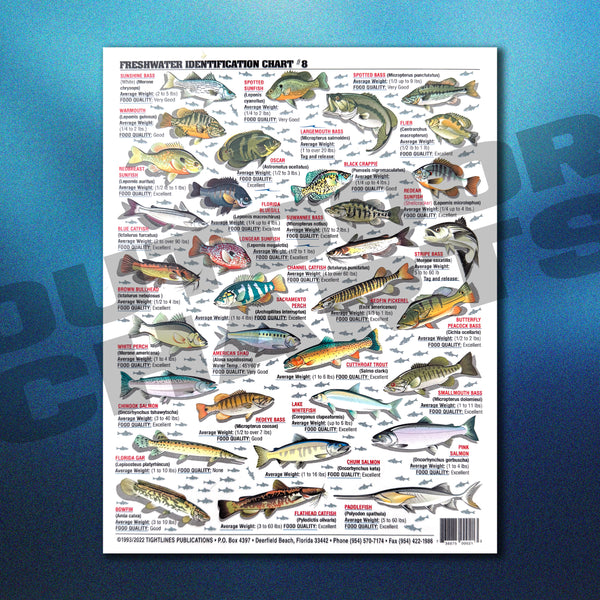Washington Fish Chart Freshwater Fish of the US, Canada, and Alaska Identification Chart #8 ...