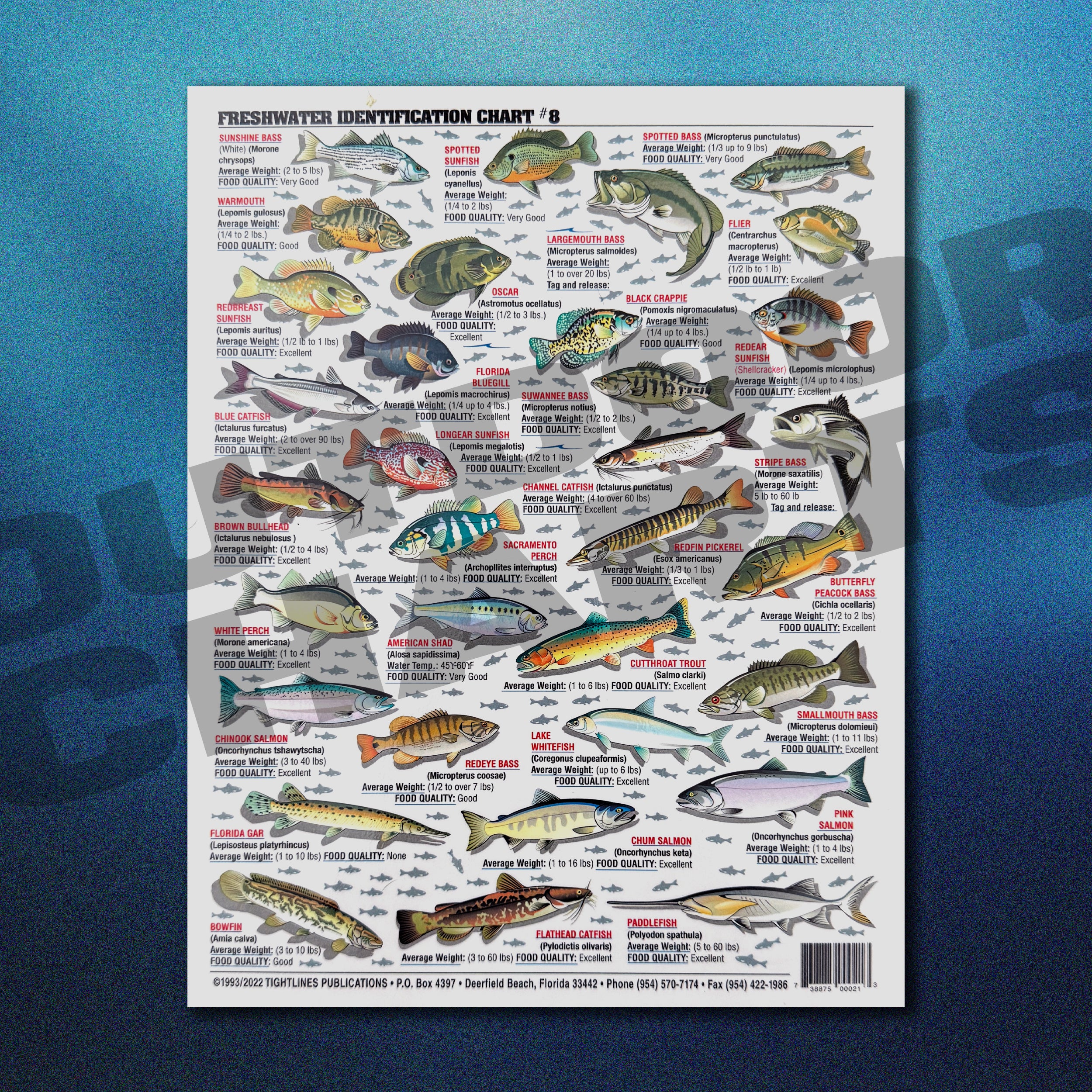 Freshwater Fish Identification Chart 8 (US, Canada, and Alaska) Wat
