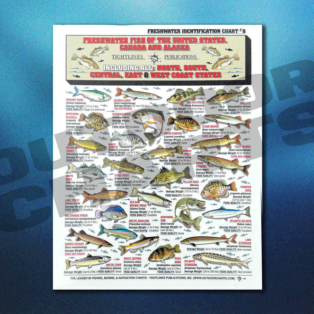Freshwater Fish of the US, Canada, and Alaska Identification Chart 8