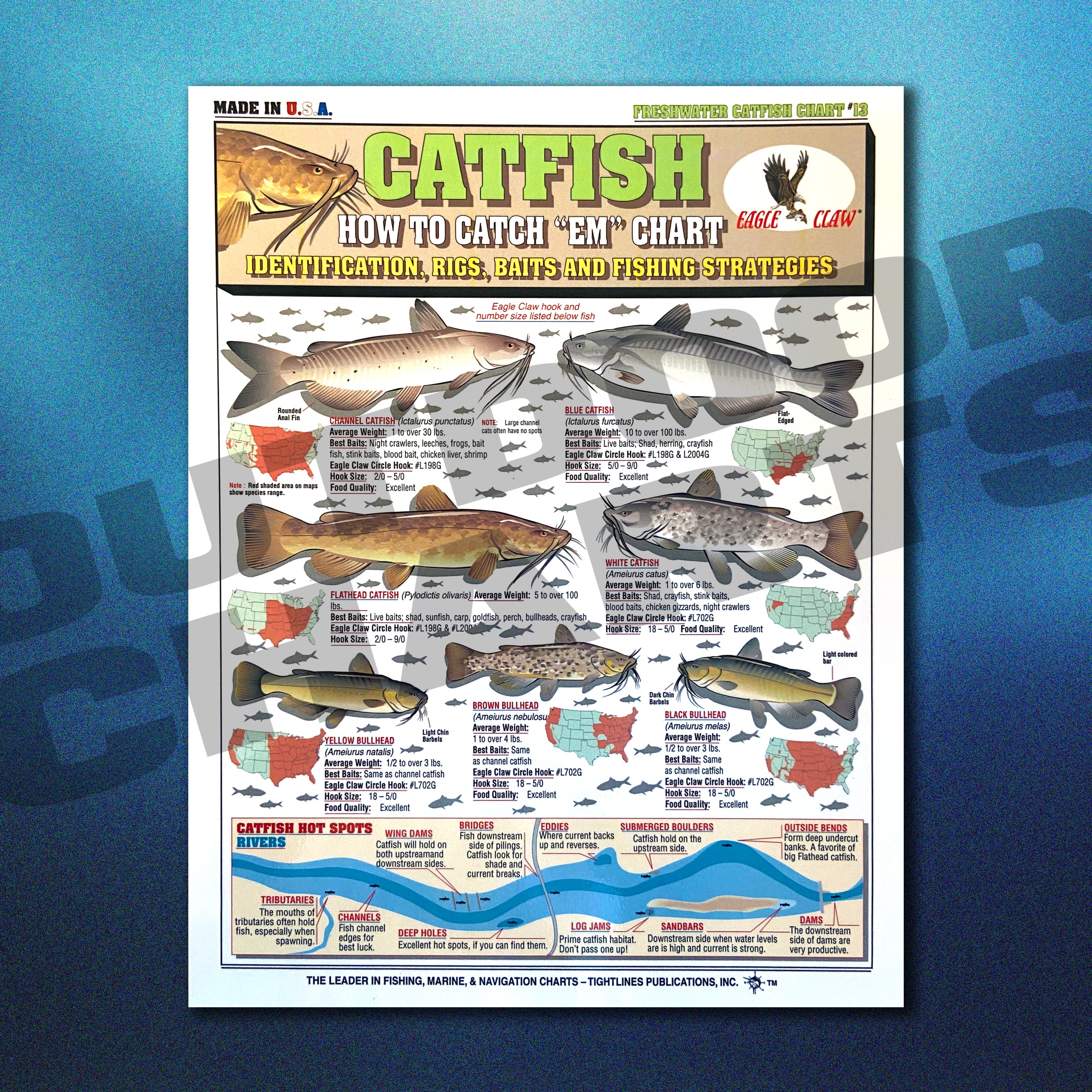 How to Catch 'Em Catfish Chart #13 (Identification, Rigs, & Fishing St –  Outdoor Charts