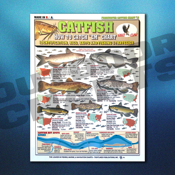 How to Catch 'Em Catfish Chart 13 (Identification, Rigs, & Fishing St