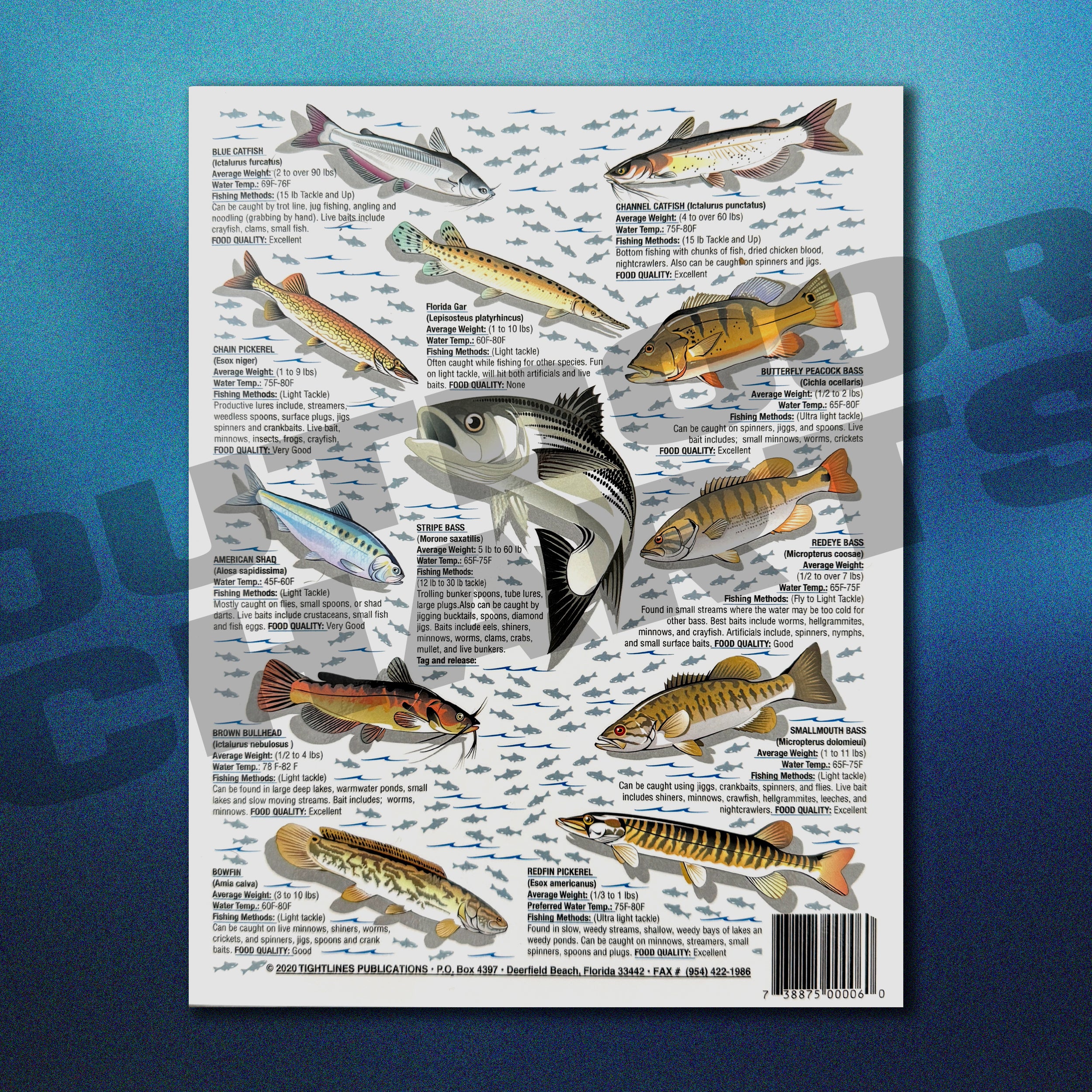 catch em all fishing lures Fishermen's How to Catch 'Em Freshwater Fish Identification Chart #3