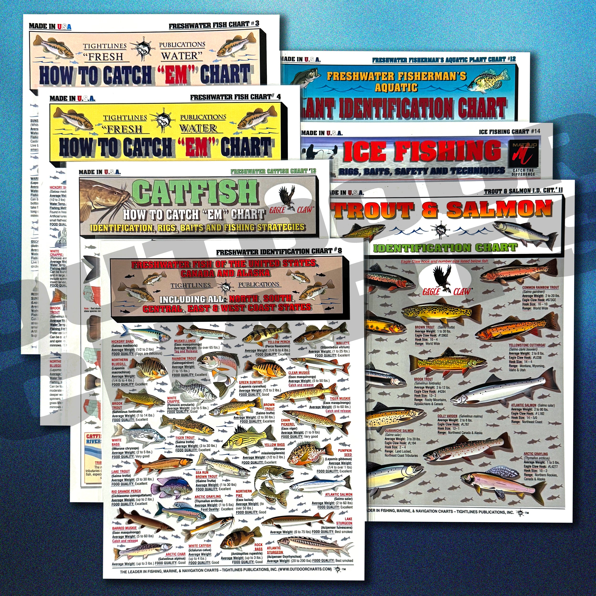 Washington Fish Chart Freshwater Fish Chart With Pictures
