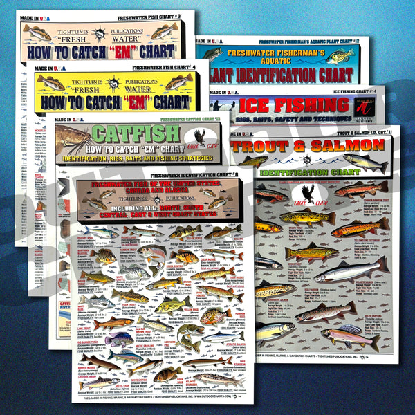 September Fish Chart Fishermen's Freshwater Fish Identification Set - Waterproof Quick Refe ...