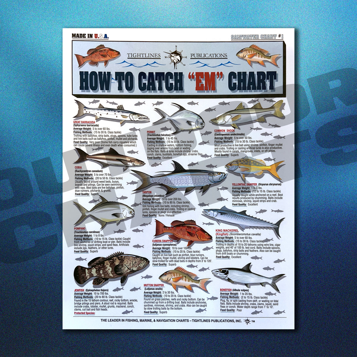 Fish Chart Pattern How to Catch 'Em Saltwater Fish Identification #1 - Waterproof Quick R ...