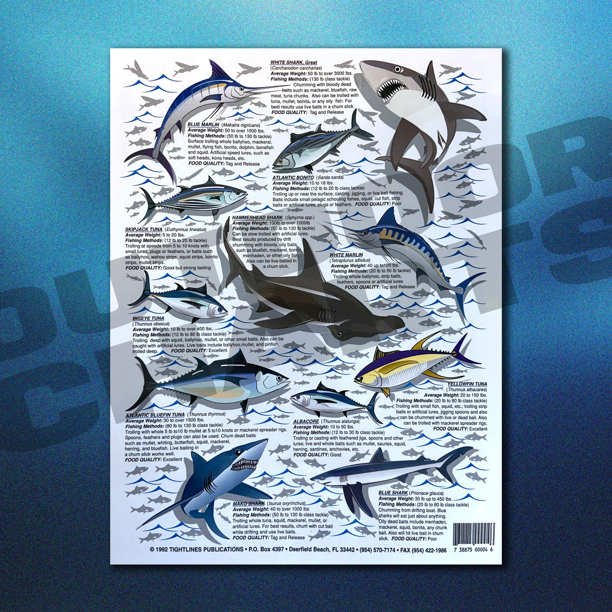Fish Chart Cute How to Catch 'Em Saltwater Fish Identification #2 - Waterproof Quick R ...
