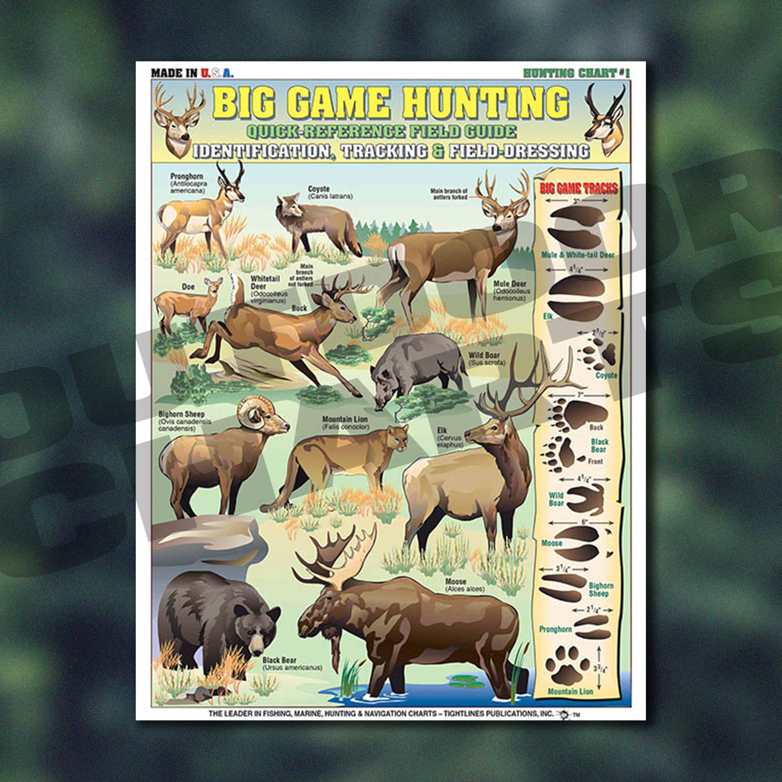 Big Game Hunting Identification Chart #1 Quick Identification Field Gu ...