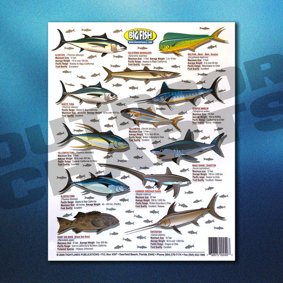 Freshwater & Saltwater Fishing Charts – Fillet & Release Outdoors