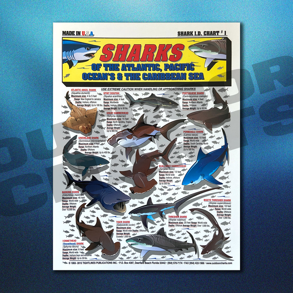 Sharks Identification Chart #1 Atlantic, Pacific, and Caribbean Oceans ...