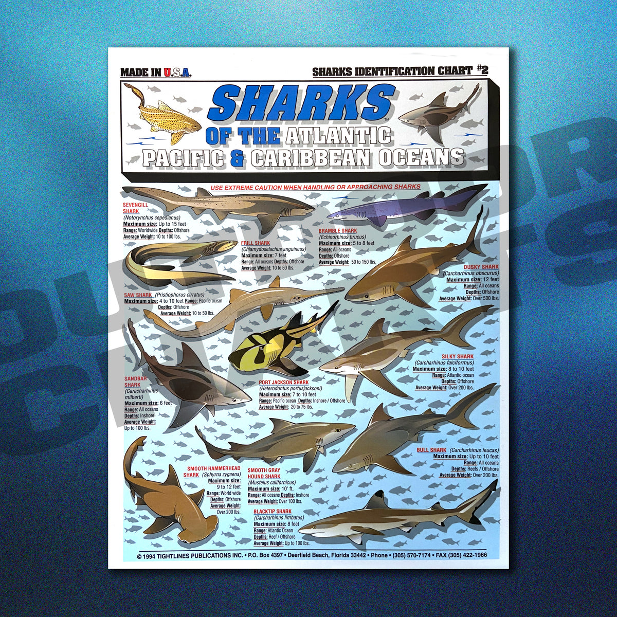Sharks Identification Chart #2 Atlantic, Pacific, and Caribbean Oceans