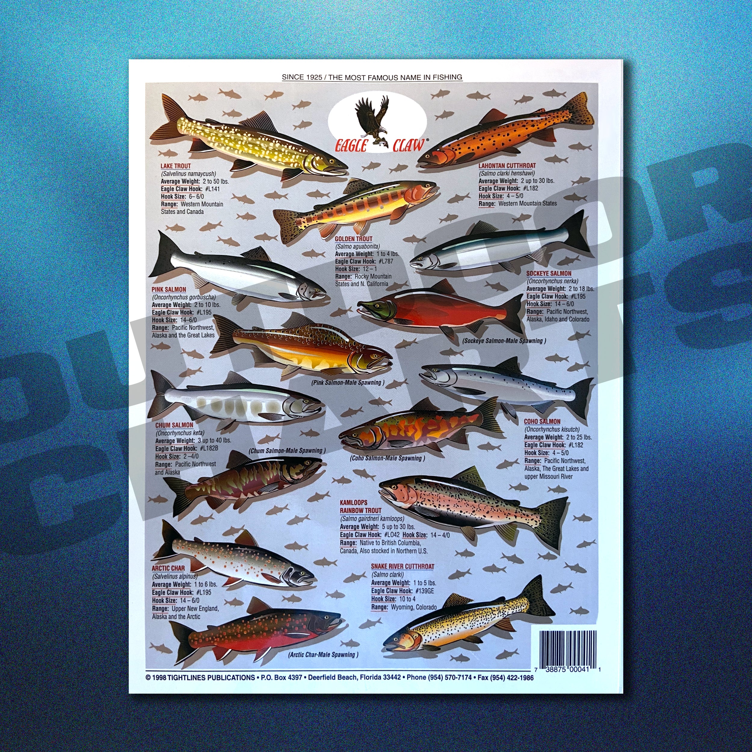 Trout and Salmon Identification 11 Waterproof Quick Reference Guide
